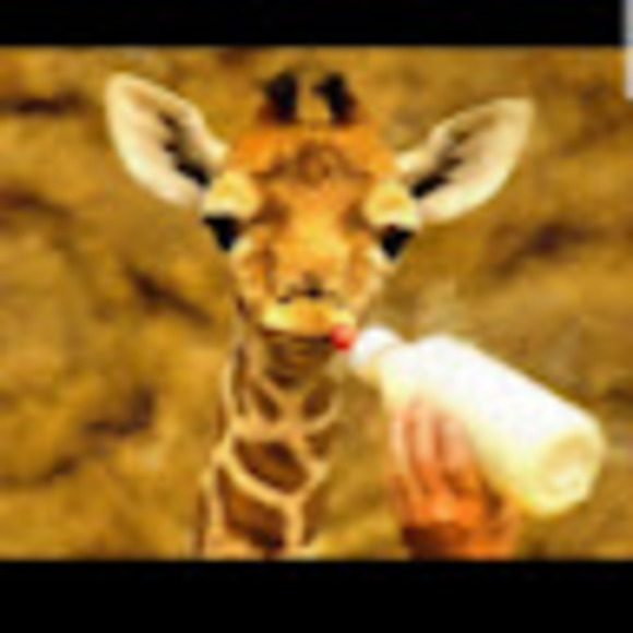 Meet your Posher, Daniel - Picture 1 of 1